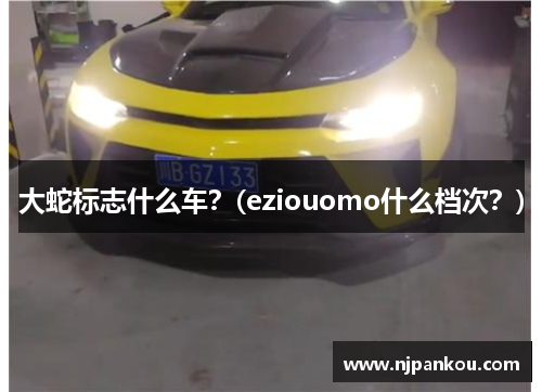 大蛇标志什么车？(eziouomo什么档次？)