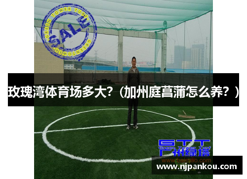 玫瑰湾体育场多大？(加州庭菖蒲怎么养？)