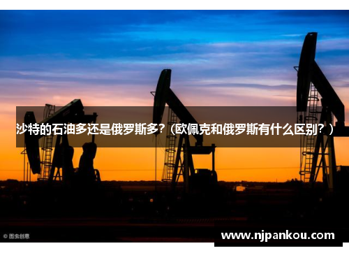 沙特的石油多还是俄罗斯多？(欧佩克和俄罗斯有什么区别？)