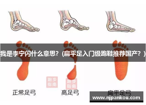我是李宁闪什么意思？(扁平足入门级跑鞋推荐国产？)
